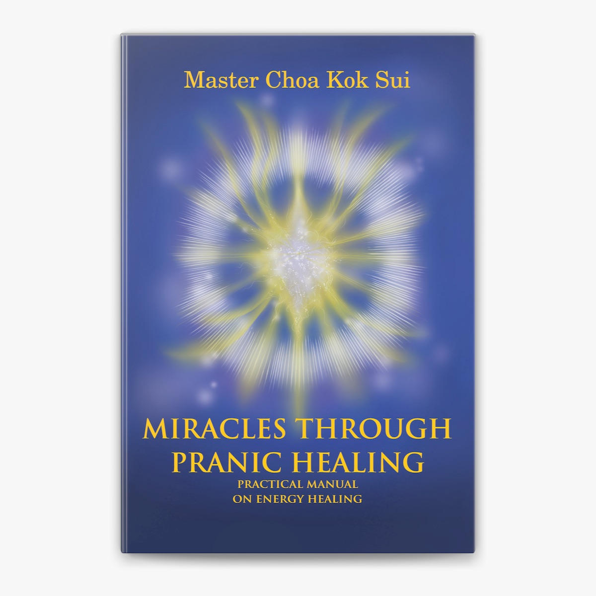 Pranic Healing session